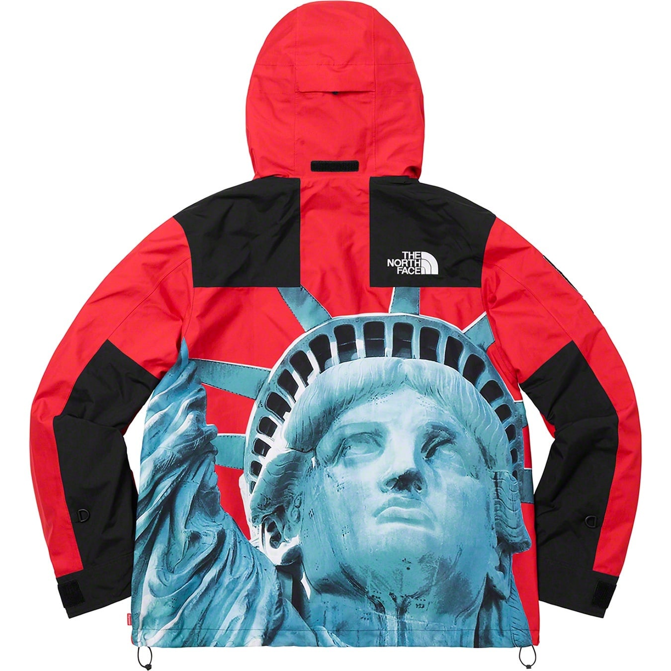 Supreme®/The North Face® Statue of Liberty Mountain Jacket view 6